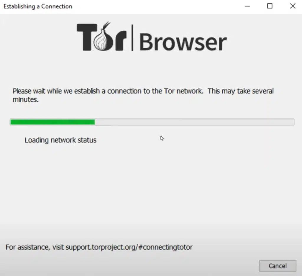 Entrar a la Dark Web