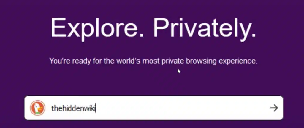 Como entrar a la Dark Web